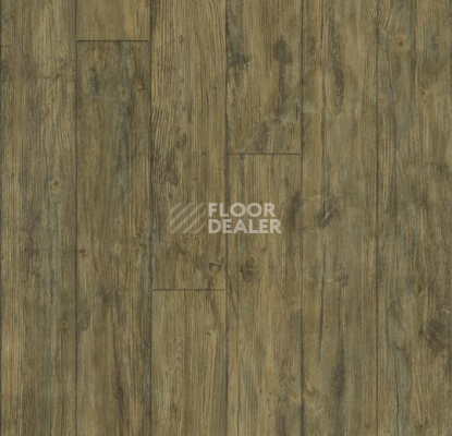 Ковролин Forbo Flotex Vision Naturals 010040 Antique Pine фото 1 | FLOORDEALER